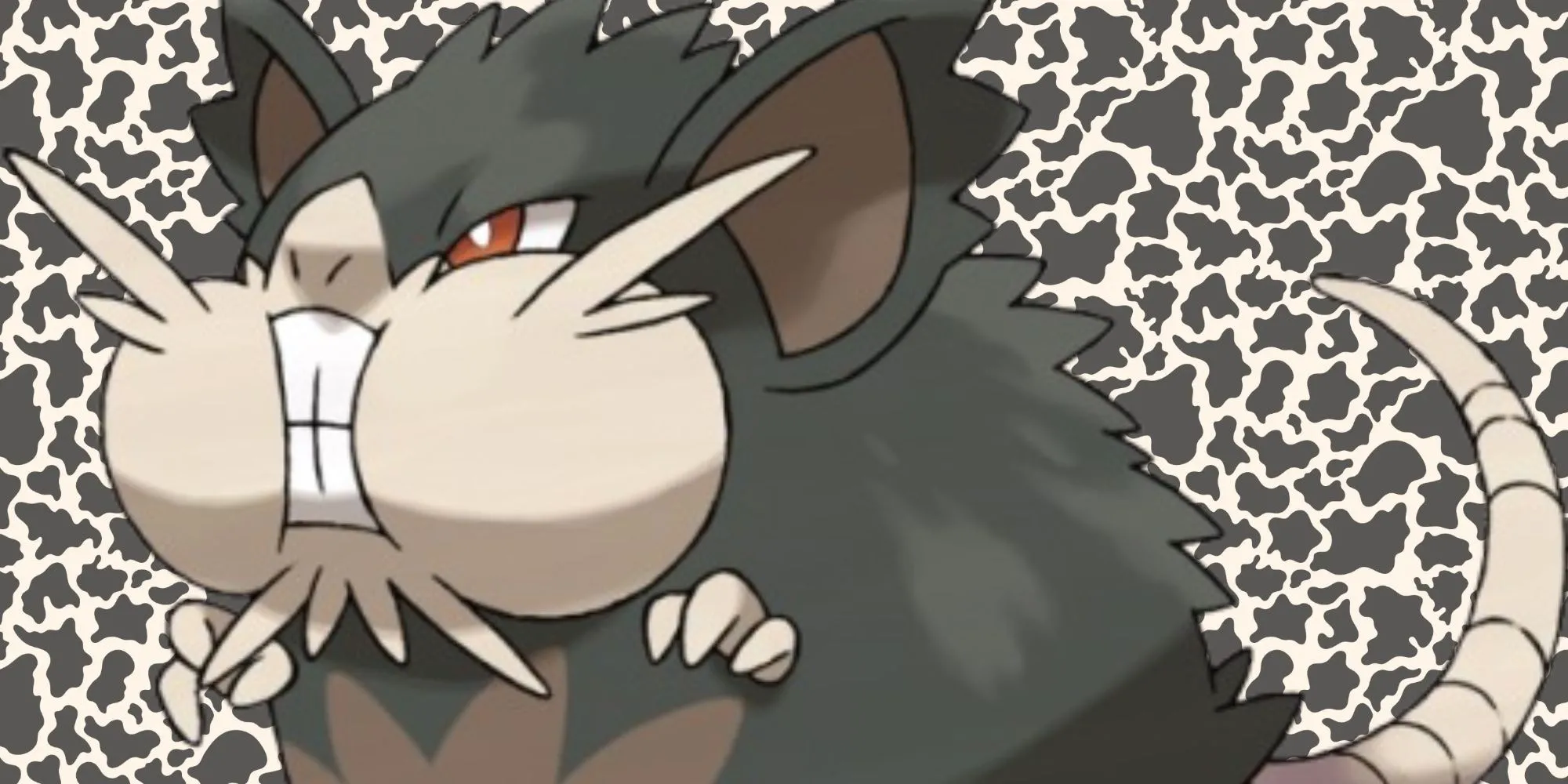 Alola Raticate hệ Bóng tối/Thường với đôi má phúng phính