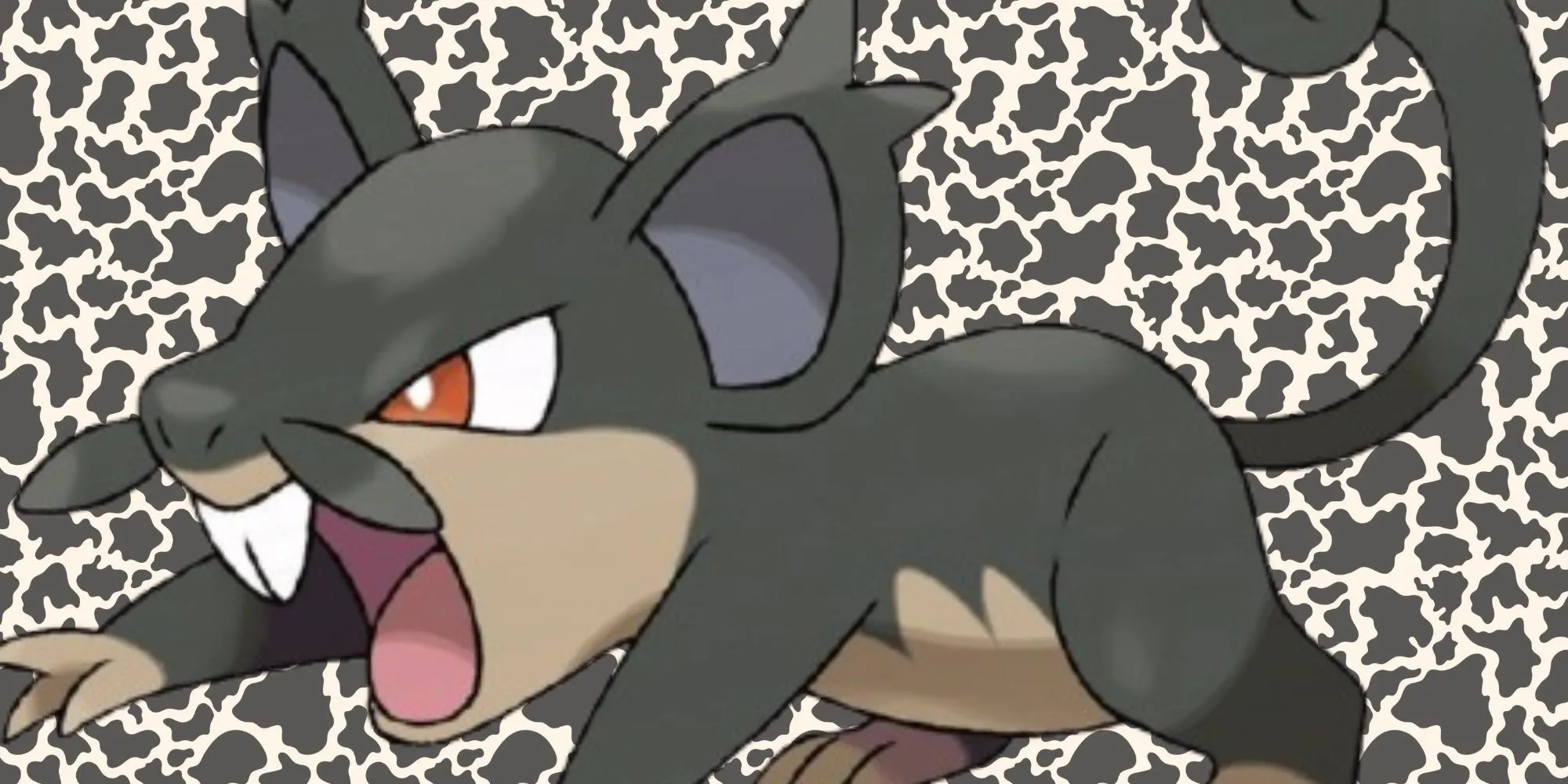 Alola Rattata hệ Bóng tối/Thường với bộ ria đặc trưng