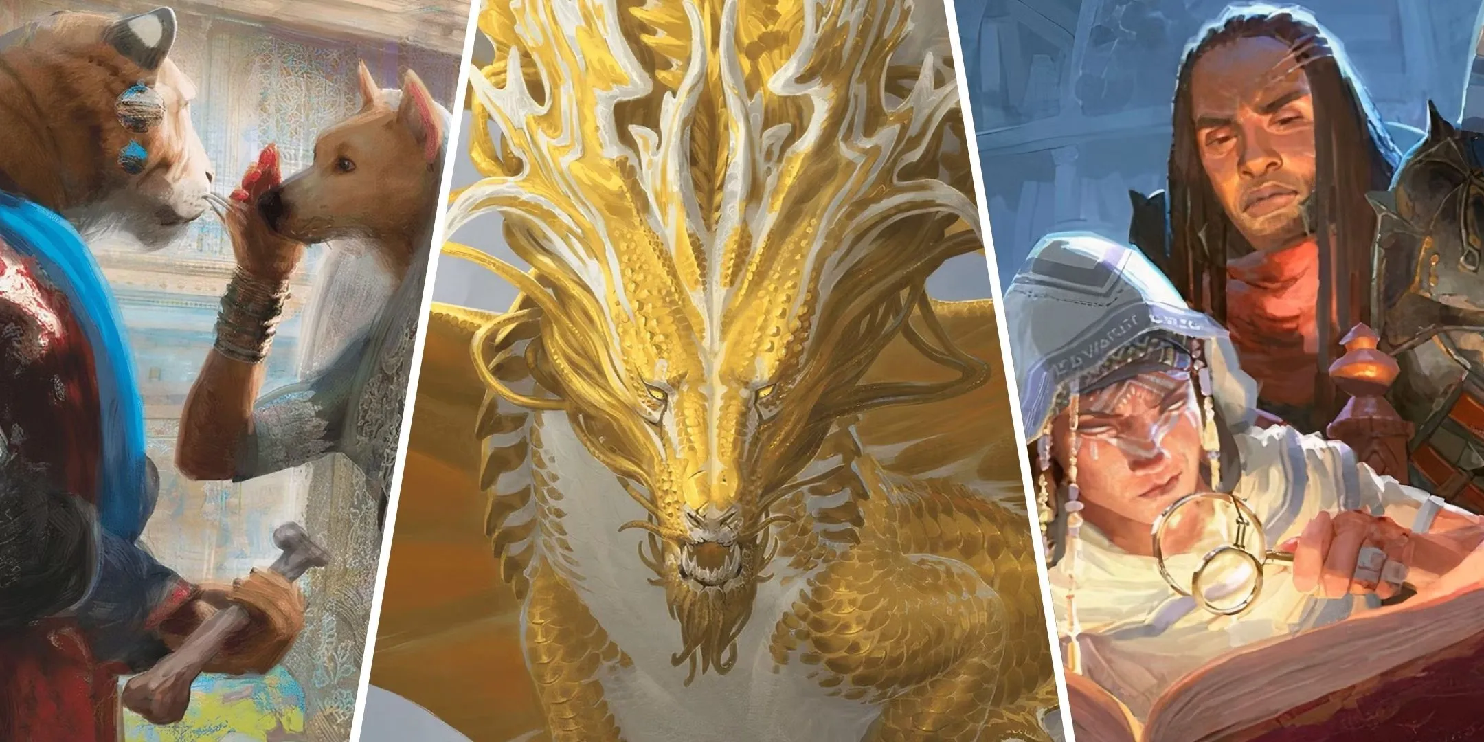 Bức tranh về các chủng tộc đa dạng, một con rồng vàng và học giả trong thế giới Dungeons & Dragons