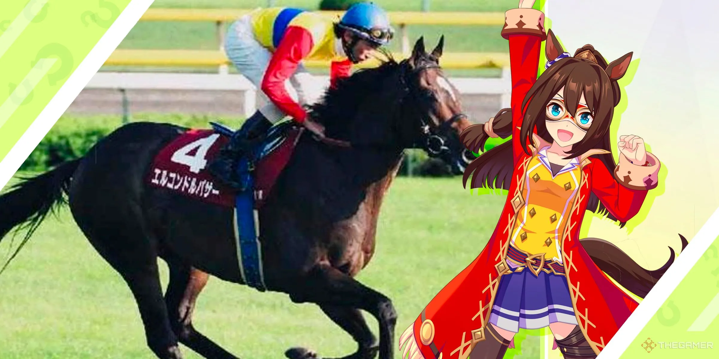 El Condor Pasa trong game Umamusume Pretty Derby và ngựa đực thật mang gốc gác phương Tây, thể hiện sự linh hoạt và khả năng vượt rào cản