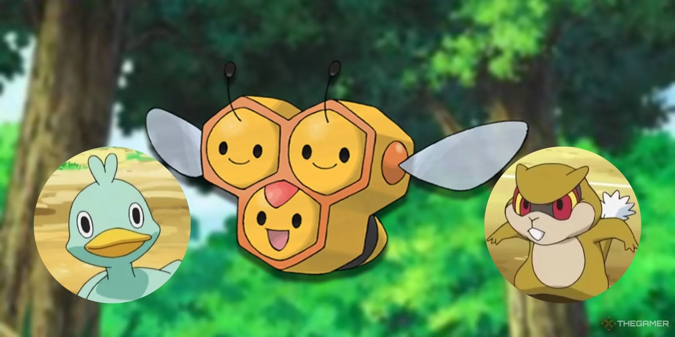 Hình ảnh các Pokemon Combee, Patrat và Ducklett trong đồ họa 2D