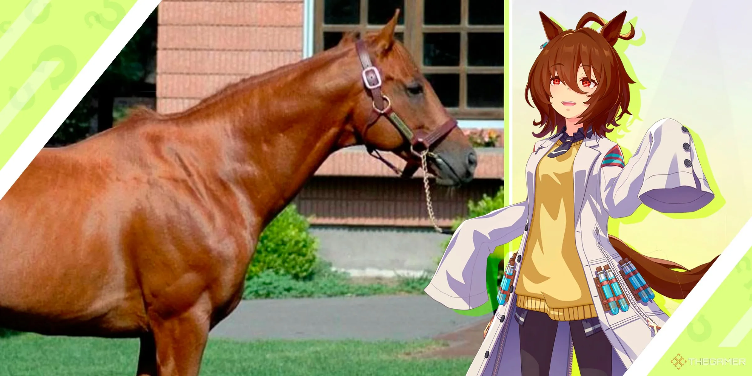 Hình ảnh so sánh Agnes Tachyon trong Umamusume Pretty Derby và ngựa đua thật, thể hiện sự bùng nổ tốc độ và hiệu suất vượt trội