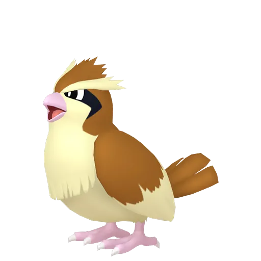 Pokemon Pidgey phổ biến trong Pokemon GO, xuất hiện dày đặc vào Spotlight Hour